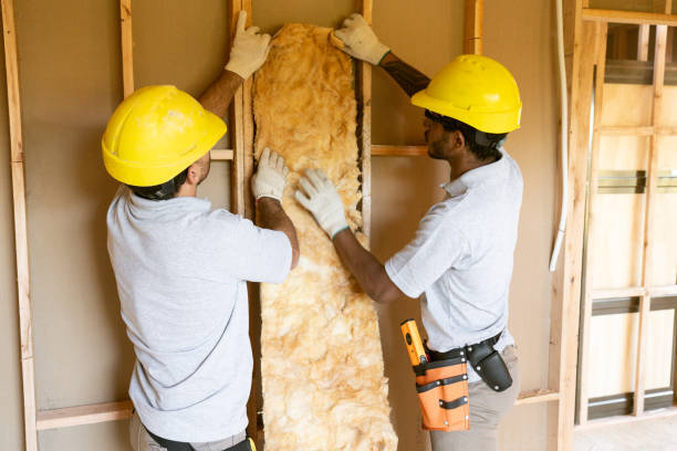 Types of Insulation We Offer in Webster Groves, MO